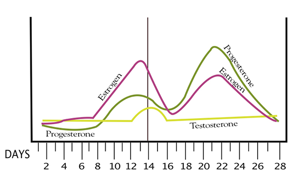 Period Heaviness Chart